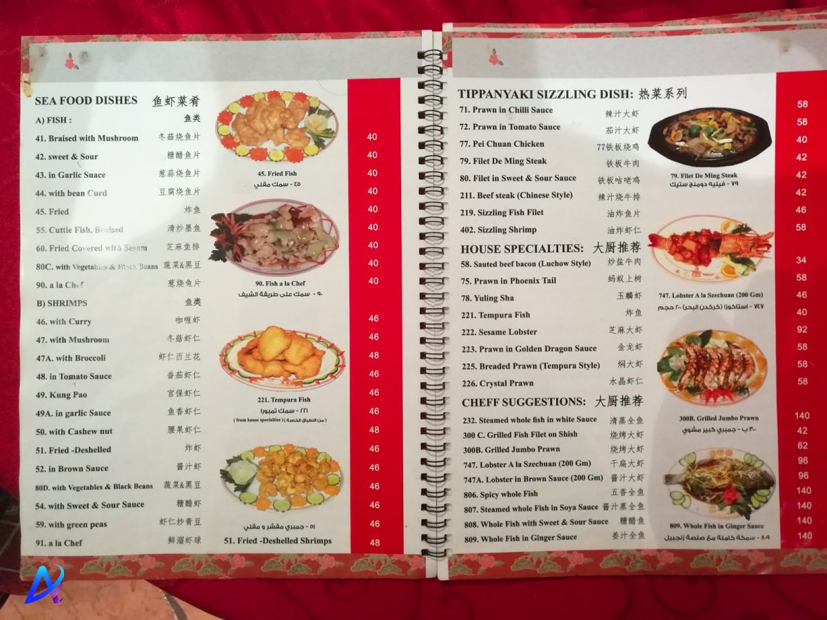 Chinese restaurant and gril