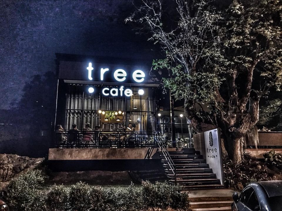 كافيه تري الخبر Tree Cafe (الأسعار+ المنيو+ الموقع) - مطاعم و كافيهات الشرقية