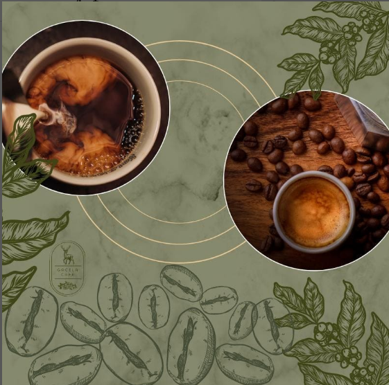 كافيه چاسيلا الخبر ( الاسعار + المنيو + الموقع ) - مطاعم و كافيهات الشرقية